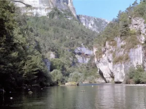 Gorges du Tarn, falaises calcaires et rivière, Massif Central